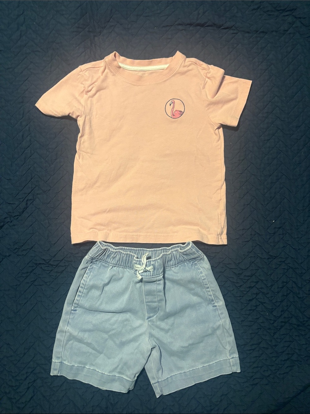 Janie and Jack Pink Tee with Flamingo Patch and matching shorts